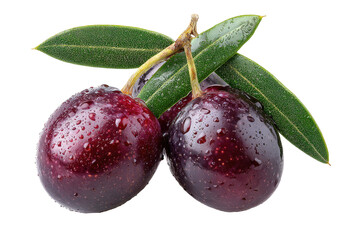 Two dark purple olives with water droplets, nestled together, resting on fresh green leaves