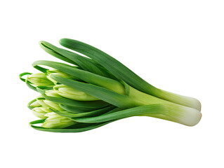 Close-up of fresh, vibrant green scallions