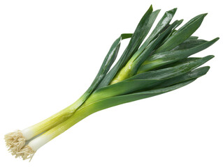 Fresh leek, vibrant green leaves, pale yellow base, close-up view