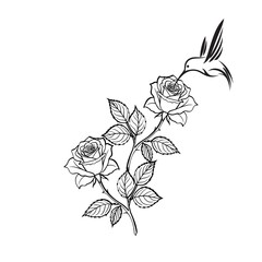 Fototapeta premium Black and White Line Art Illustration of Roses with Bird