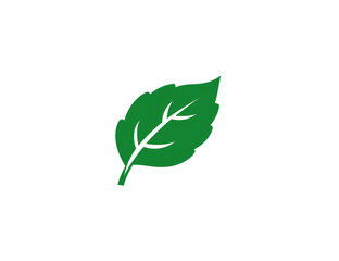 Obraz premium Simple, vibrant green leaf graphic. Solid, outlined shape against black background. Leaf form is typical, ovoid with pointed tip and serrated edge