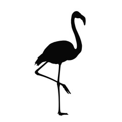 Flamingo silhouette illustration standing on one leg on a white background. EPS 10.
