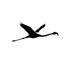 Fototapeta premium Flamingo silhouette illustration standing on one leg on a white background. EPS 10.