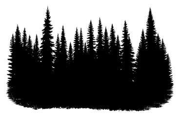Evergreen forest silhouette in a detailed style, in black and white