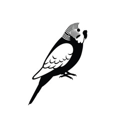 Parakeet silhouette perched on branch illustration on a white background. EPS 10.