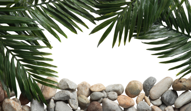 Tropical frame of palm leaves and stones