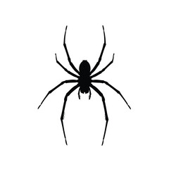 Spider silhouette illustration with eight legs on a white background. EPS 10.