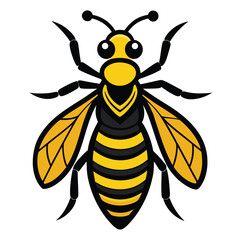 bee vector illustration