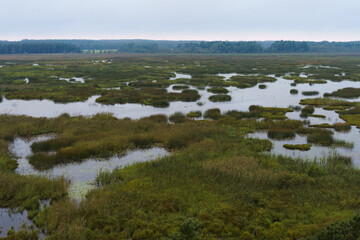 View over Lake Puurijarvi from an observation tower, Finland