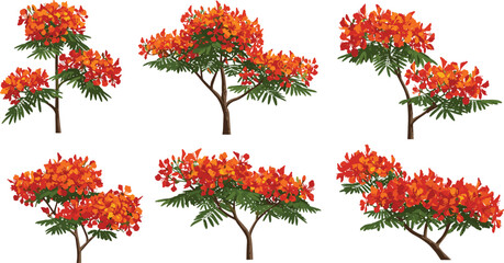Beautiful orange flower tree illustration set with green leaves and detailed branches, tropical nature vector design for landscape and decoration artwork
