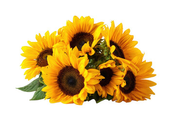 Close-up of a bouquet of sunflowers © Fitrah