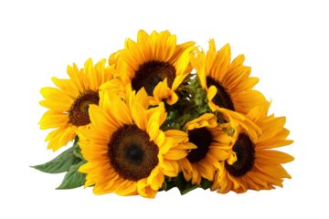 Close-up of a bouquet of sunflowers