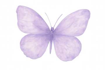 Delicate purple butterfly spreading iridescent wings, rendered in soft watercolor technique