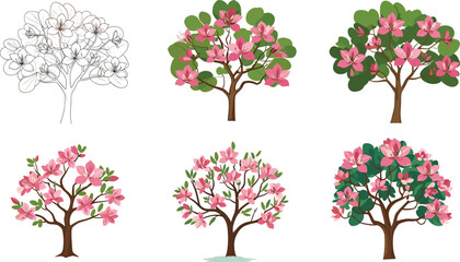 Obraz premium Beautiful pink magnolia blooming trees vector illustration set with floral spring design, decorative botanical artwork, and seasonal garden elements