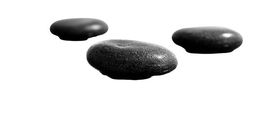 Three dark gray, oval-shaped objects.  They appear textured, with subtle variations in tone.  Silhouetted against a black background