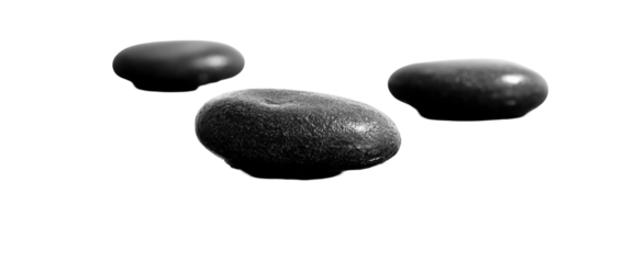Three dark gray, oval-shaped objects.  They appear textured, with subtle variations in tone.  Silhouetted against a black background