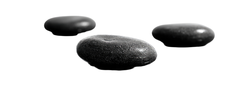 Three dark gray, oval-shaped objects.  They appear textured, with subtle variations in tone.  Silhouetted against a black background