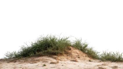 A mound of grass on sand
