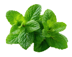 Fresh mint leaves, vibrant green, close-up (1)