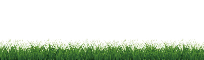 Fototapeta premium Green Grass Border With White Background