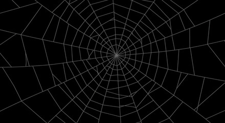Obraz premium Detailed Spider Web Illustration on Black Background Minimalist and Geometric Design for Halloween and Digital Projects