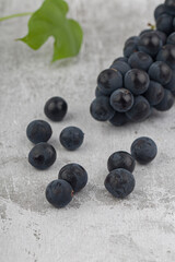 Bunch of organic black grapes.