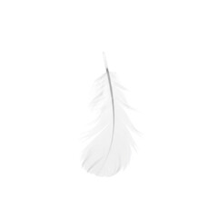 Soft White Feather Isolated on White Background. Delicate Bird Feather, Fluffy and Lightweight, Ideal for Purity, Comfort, or Serenity Concepts.