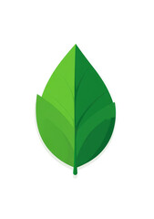 Obraz premium Green leaf graphic, simple and stylized. 