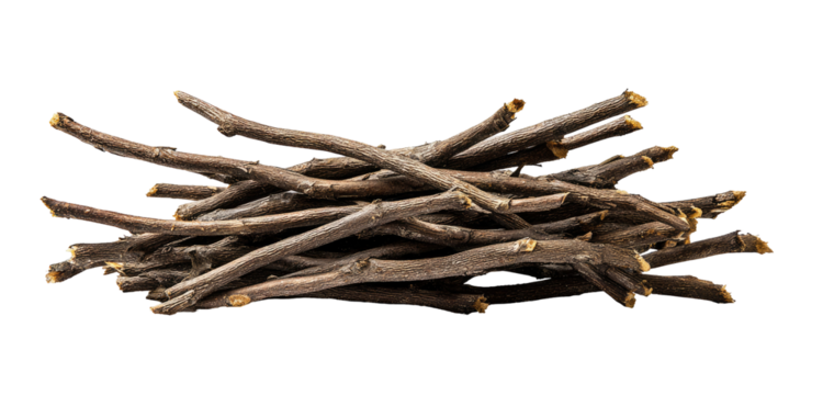 A pile of small, dark brown twigs