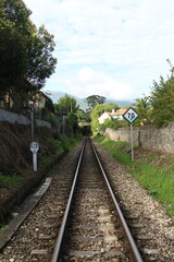Fototapeta premium Railway tracks leading into tunnel surrounded by trees and green landscape, transportation and travel infrastructure in nature, perspective view of railroad in countryside setting