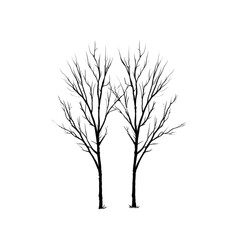 Two stylized, dark trees with illuminated, detailed branches against a black background.  Small, bright colored specks are scattered throughout