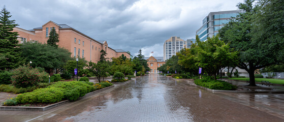 Modern Pink Campus in Rain with Reflections, Clean Recruitment Banner