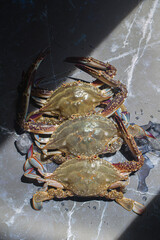 Korean seafood fresh blue crab