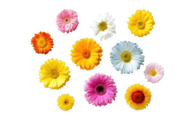 Colorful flower cluster on black background