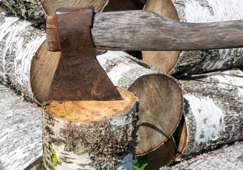 Rusty axe in birch log close-up on natural woodpile background