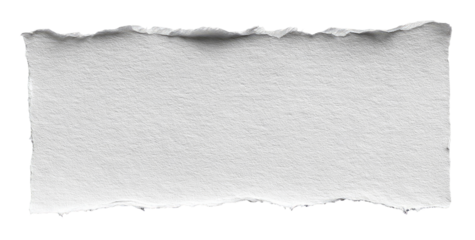 A rectangular piece of torn white paper