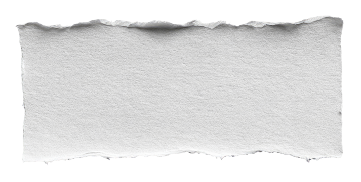 A rectangular piece of torn white paper