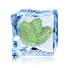 Fresh mint leaves inside clear ice cube on white background