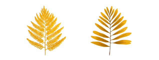 Two stylized, golden-yellow leaves against a black background.  