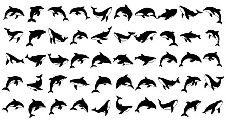 Fototapeta premium Vector art of silhouetted dolphin collection, presenting various poses and positions of the marine mammal in black and white