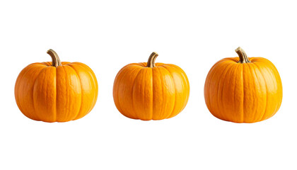 Obraz premium set of pumpkins isolated on transparent background, png