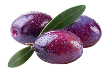Purple olives with leaves, wet and glossy