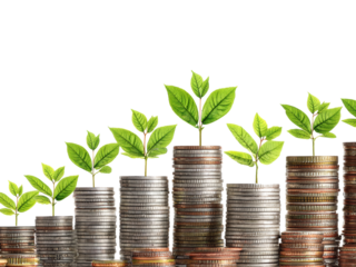 Growing money financial investment success wealth concept, Isolated On white, Png Transparent