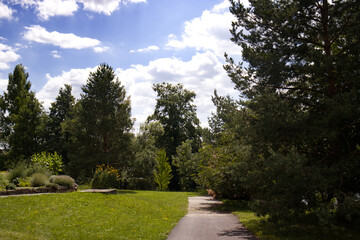 Concrete walkway in the arboretum. Walkway in the park. Beautiful summer weather. Sun shining on the landscape with trees and grass. Walk in the park. Activities in nature. Movement and healthy lifest