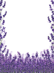 Naklejka premium Lavender border frame on black background. Purple flowers fill the bottom and sides of a vertical frame, creating a floral border around a black center
