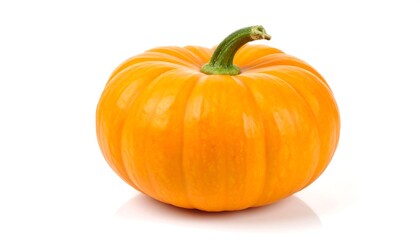 Obraz premium Single orange pumpkin on white
