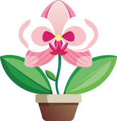 Stylized pink orchid flower illustration
