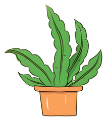 PNG Plant cartoon leaf houseplant.