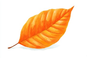 Bright orange autumn leaf with texture and shading on white background.