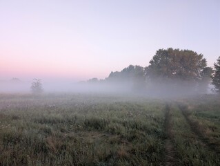 Fog in the field on the river and in the forest